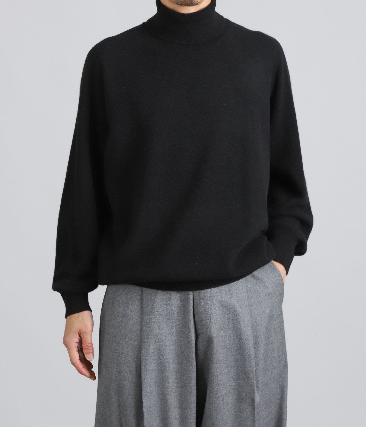 EXTRA FINE WOOL KNIT TURTLE NECK LS | ssstein(シュタイン