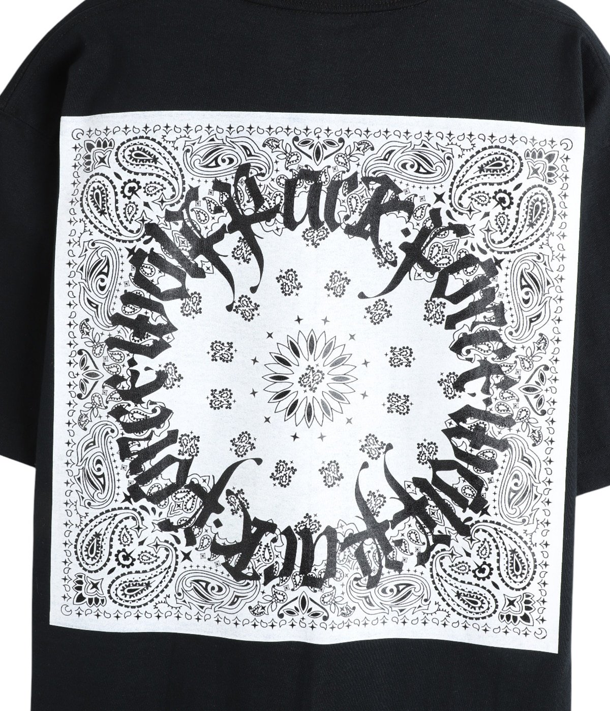 わたの 0440884263182cl_05?$VS_1500$