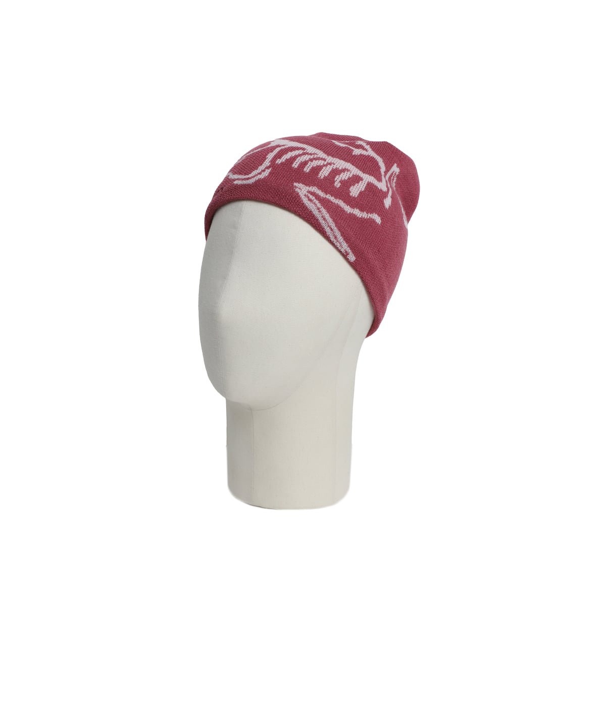 Bird Head Toque | ARC'TERYX(アークテリクス) / 帽子 ニットキャップ