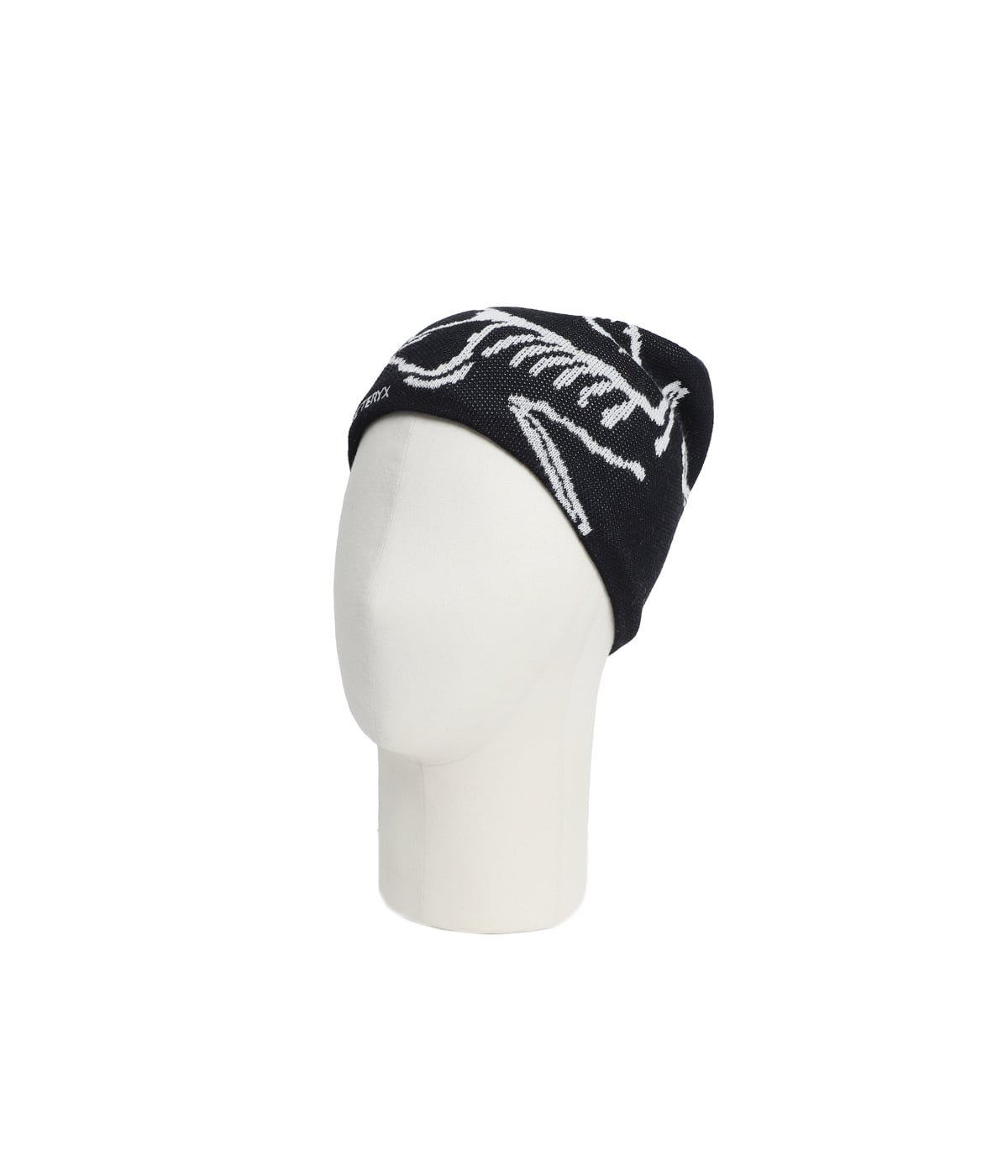 Bird Head Toque | ARC'TERYX(アークテリクス) / 帽子 ニットキャップ