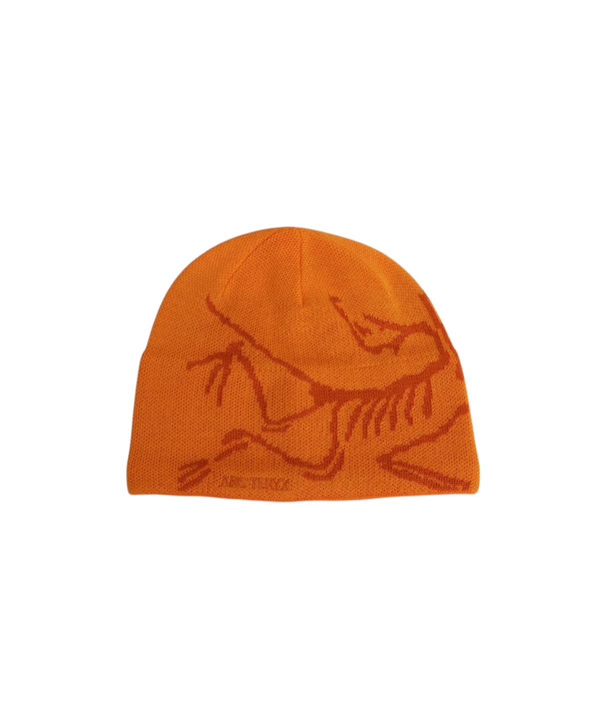 ARC'TERYX ニット帽 2023年モデル BIRD HEAD TOQUE Bird Head Toque | ARC'TERYX(アークテリクス) / 帽子 ニット