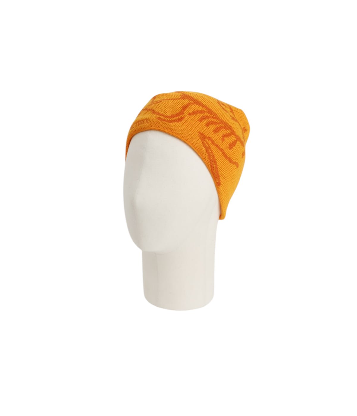Bird Head Toque | ARC'TERYX(アークテリクス) / 帽子 ニット