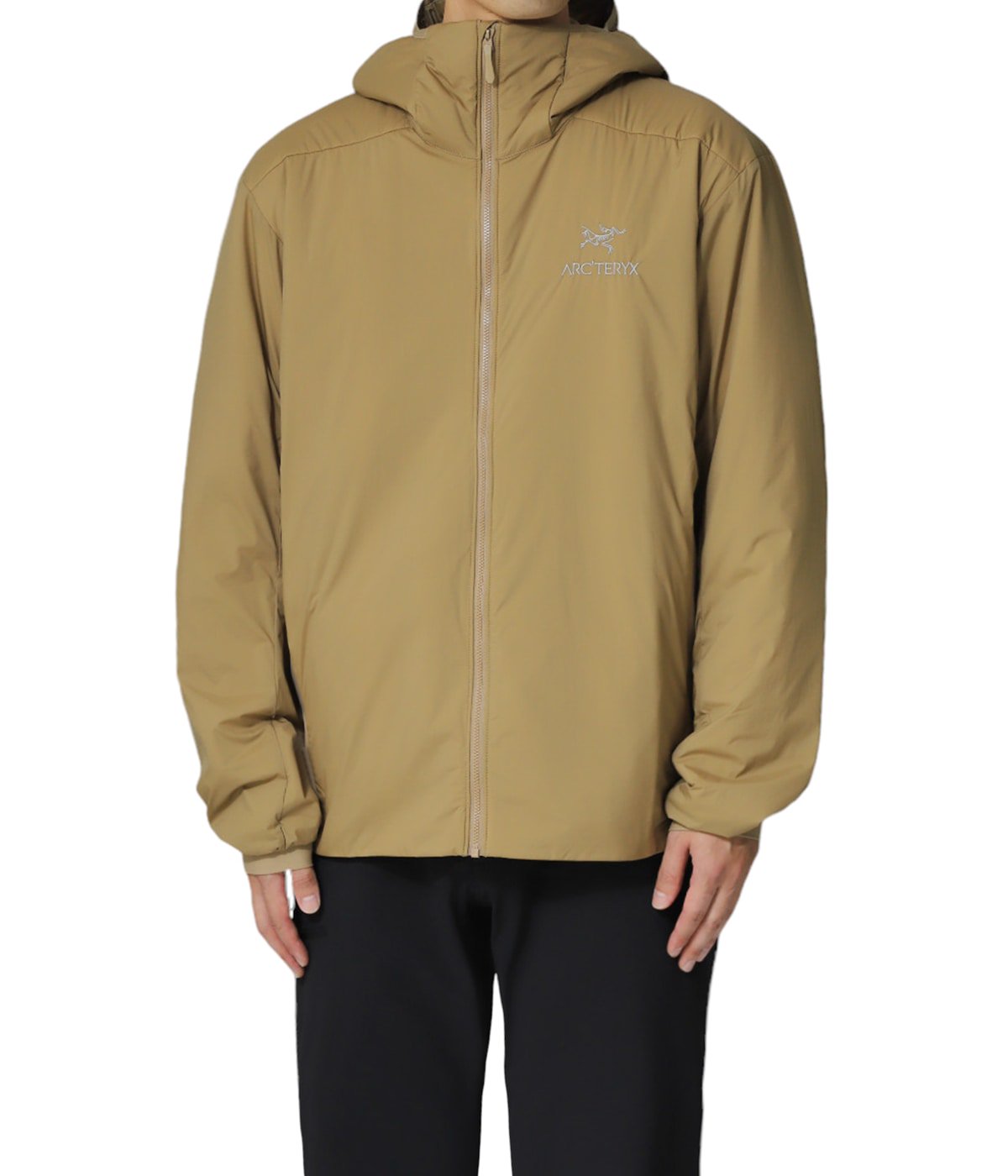 model（177cm / 62kg）B87 W73 H92 着用サイズ：M