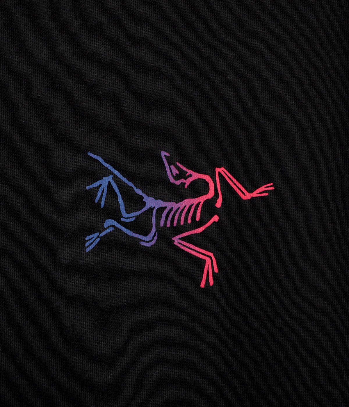 Kragg Cotton Logo SS M | ARC'TERYX(アークテリクス