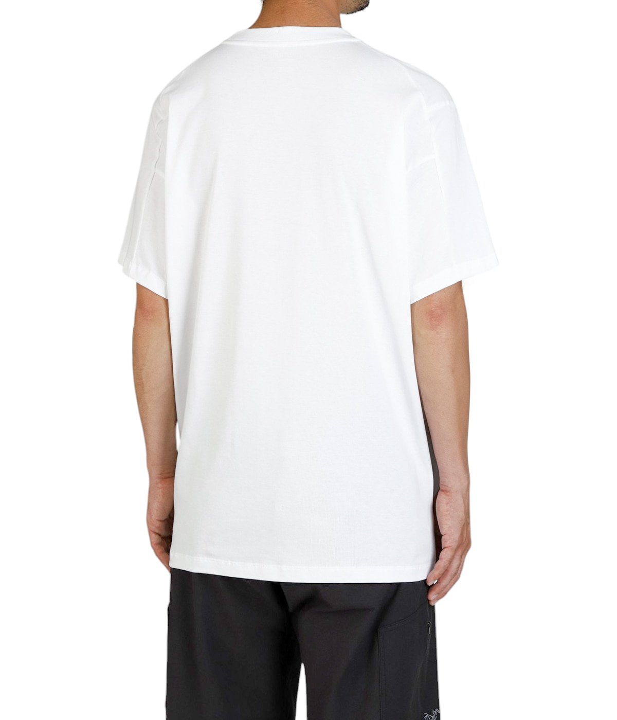 model（184cm / 63kg）B85 W80 H102 着用サイズ：L