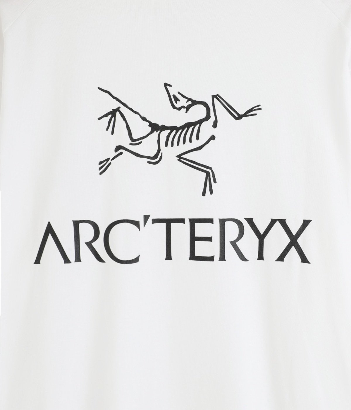 Kragg SL Cotton Bird Word SS M | ARC'TERYX(アークテリクス