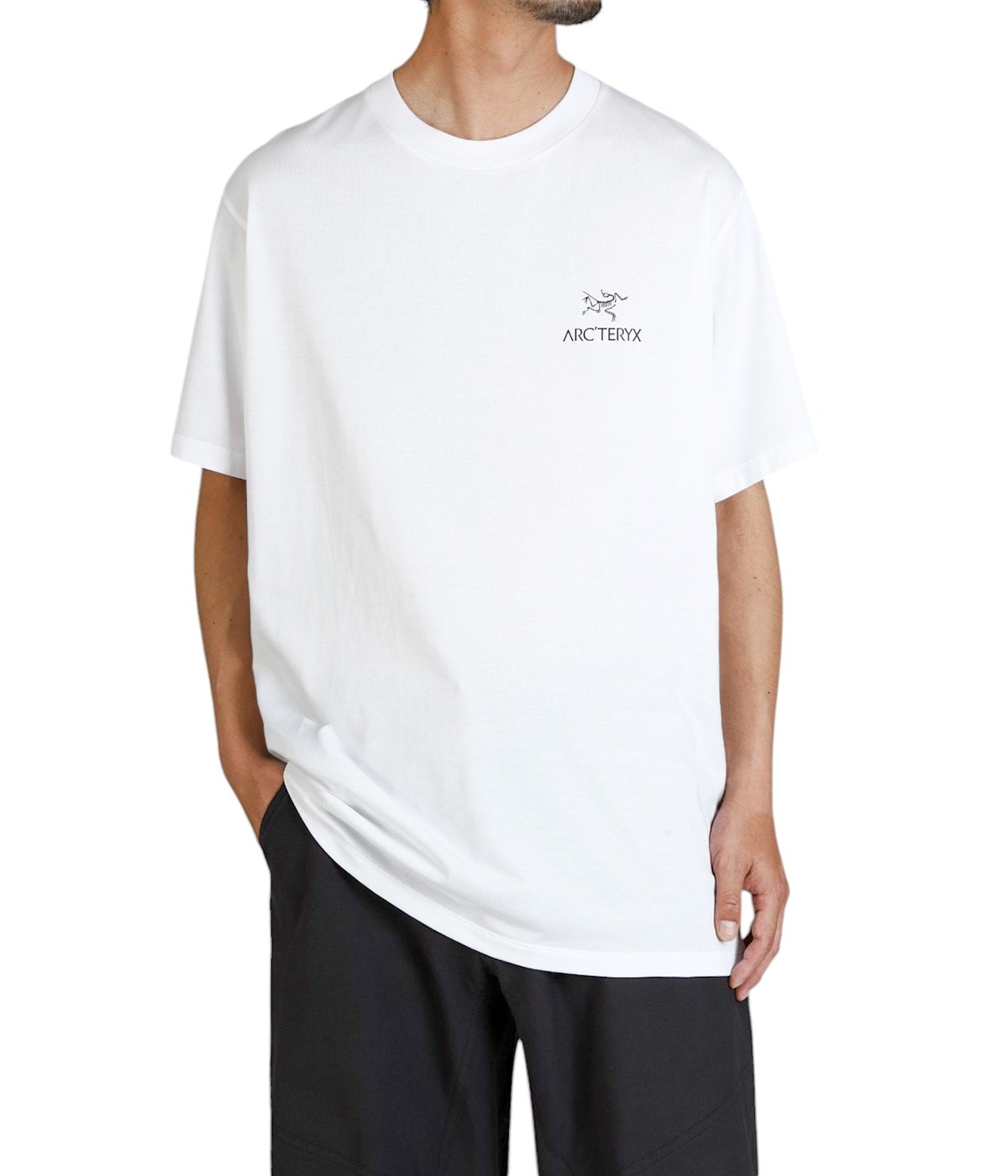 ★【ARC`TERYX】 クラッグ スフィマ バード ワード SSマン★ ARC'TERYX Kragg SL Cotton Bird Word SS M