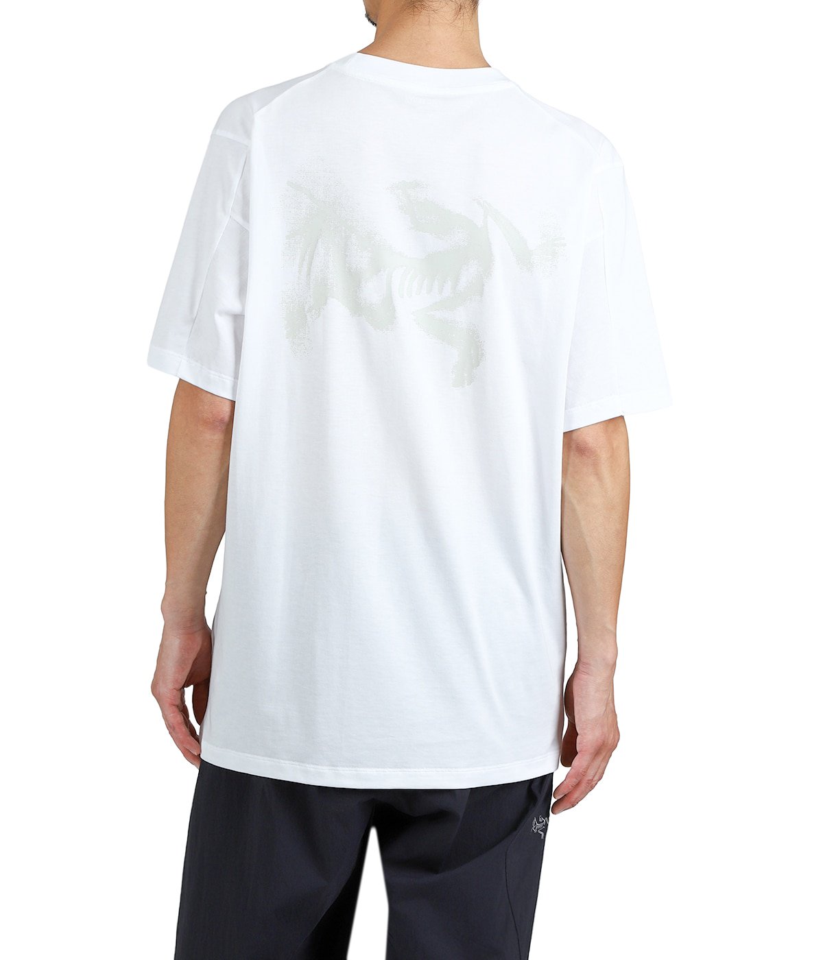 model（175cm / 60kg）B85 W75 H92 着用サイズ：M