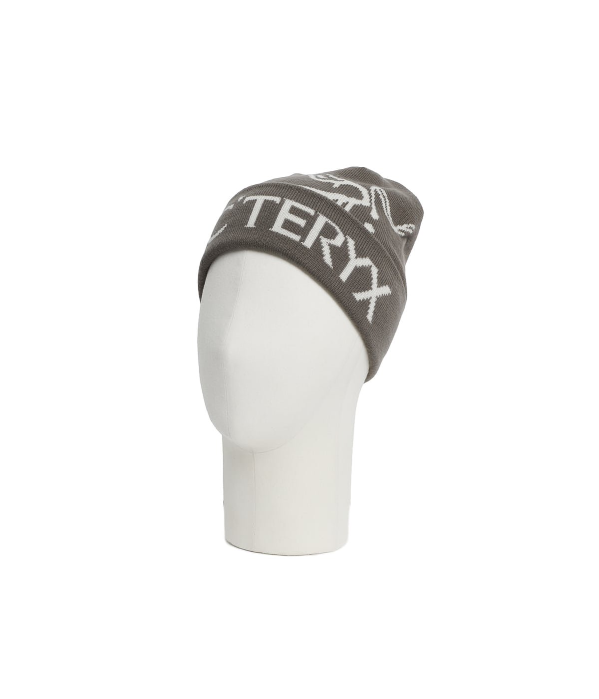 Bird Word Toque | ARC'TERYX(アークテリクス) / 帽子 ニットキャップ