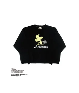 DAIRIKU × PEANUTS™ “WOODSTOCK” / スタッフブログ - ARKnets 公式通販