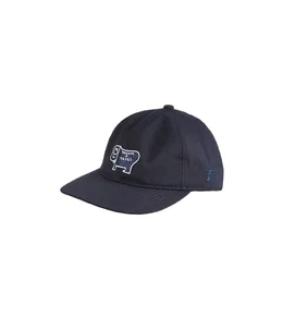 TACOMA TAPES CAP