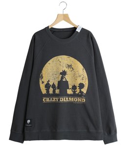 MOONLIGHT PEANUTS RAGLAN SWEAT