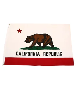 VINTAGE CALIFORNIA FLAG 5×6 DEAD