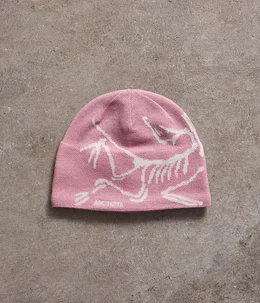 Bird Head Toque (エクスクルーシブモデル) | ARC'TERYX